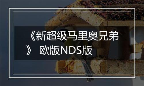《新超级马里奥兄弟》 欧版NDS版