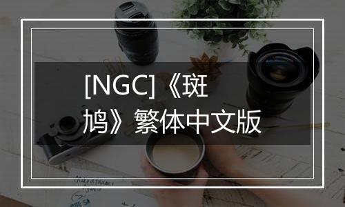 [NGC]《斑鸠》繁体中文版