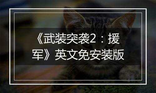 《武装突袭2：援军》英文免安装版