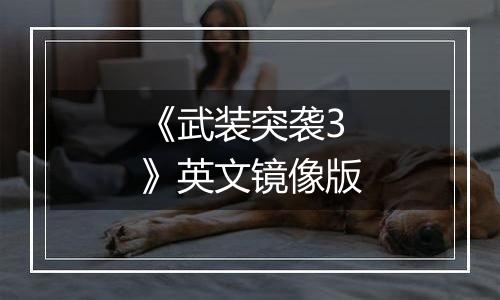 《武装突袭3》英文镜像版