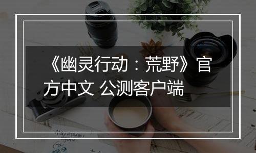 《幽灵行动：荒野》官方中文 公测客户端