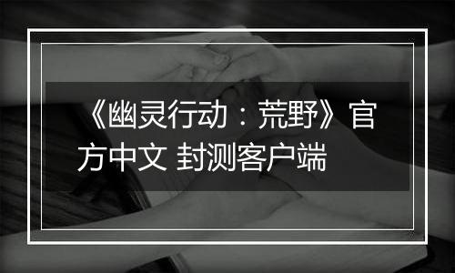 《幽灵行动：荒野》官方中文 封测客户端