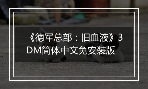 《德军总部：旧血液》3DM简体中文免安装版