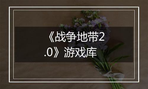 《战争地带2.0》游戏库