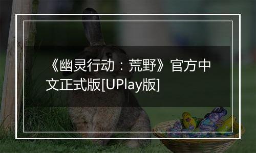 《幽灵行动：荒野》官方中文正式版[UPlay版]