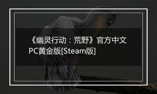 《幽灵行动：荒野》官方中文 PC黄金版[Steam版]