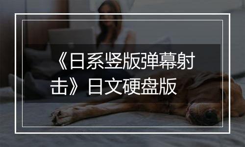 《日系竖版弹幕射击》日文硬盘版