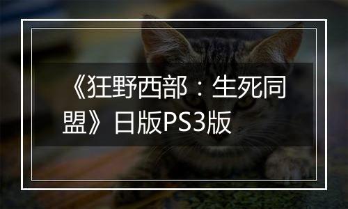 《狂野西部：生死同盟》日版PS3版