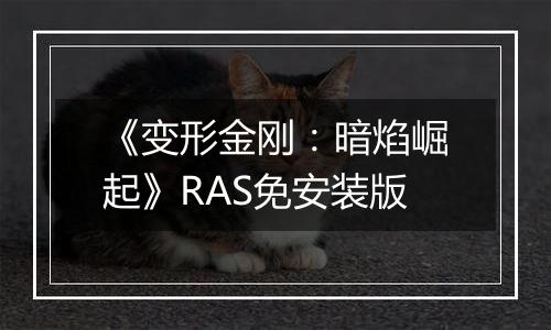 《变形金刚：暗焰崛起》RAS免安装版