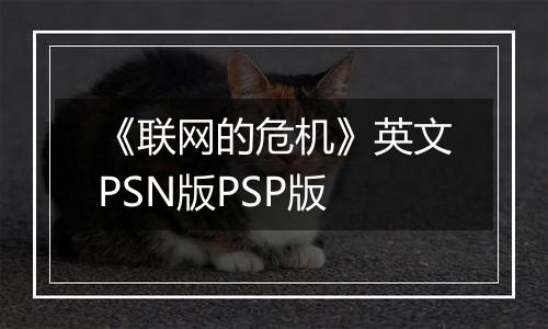 《联网的危机》英文PSN版PSP版