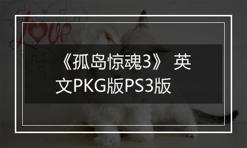 《孤岛惊魂3》 英文PKG版PS3版