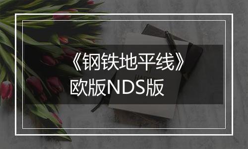 《钢铁地平线》 欧版NDS版