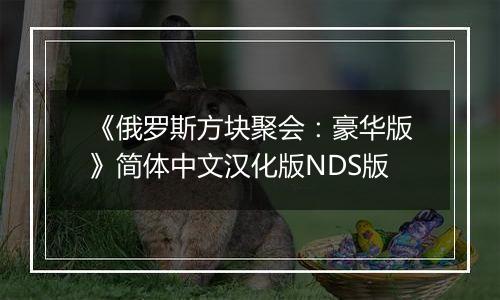 《俄罗斯方块聚会：豪华版》简体中文汉化版NDS版