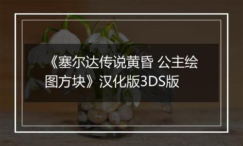 《塞尔达传说黄昏 公主绘图方块》汉化版3DS版