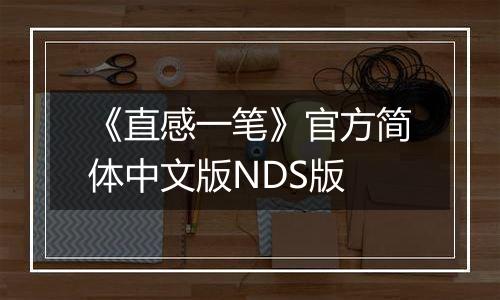 《直感一笔》官方简体中文版NDS版
