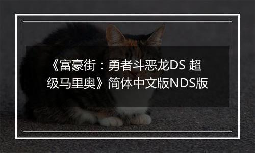 《富豪街：勇者斗恶龙DS 超级马里奥》简体中文版NDS版