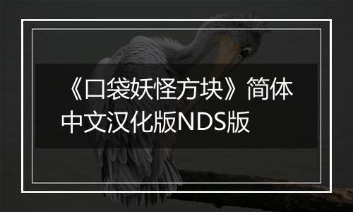 《口袋妖怪方块》简体中文汉化版NDS版