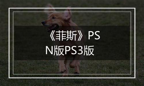 《菲斯》PSN版PS3版
