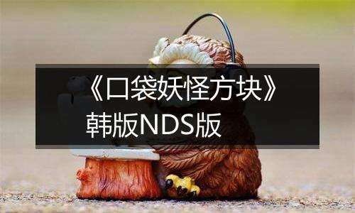 《口袋妖怪方块》 韩版NDS版