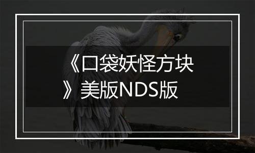 《口袋妖怪方块》美版NDS版
