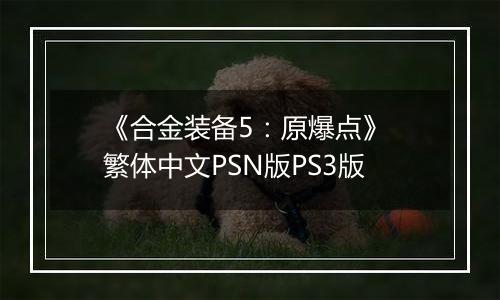 《合金装备5：原爆点》 繁体中文PSN版PS3版