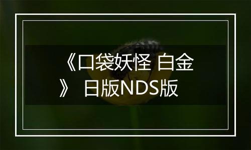 《口袋妖怪 白金》 日版NDS版