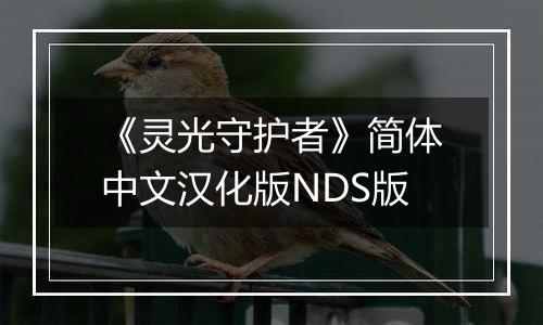 《灵光守护者》简体中文汉化版NDS版