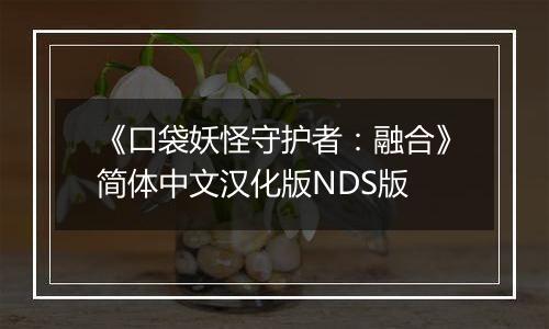 《口袋妖怪守护者：融合》简体中文汉化版NDS版