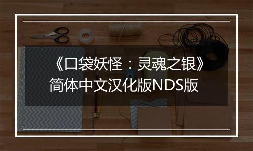 《口袋妖怪：灵魂之银》简体中文汉化版NDS版