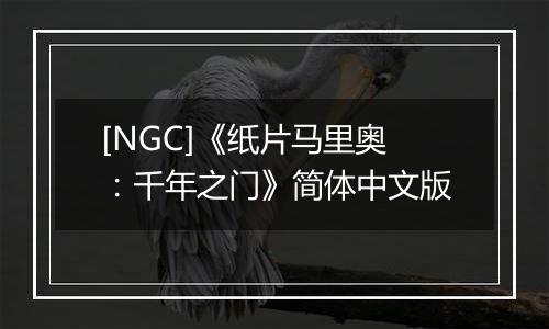 [NGC]《纸片马里奥：千年之门》简体中文版