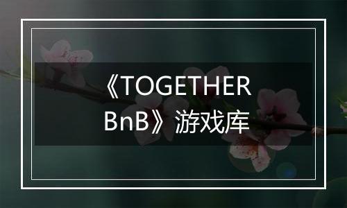 《TOGETHER BnB》游戏库