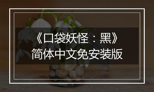 《口袋妖怪:黑》简体中文免安装版