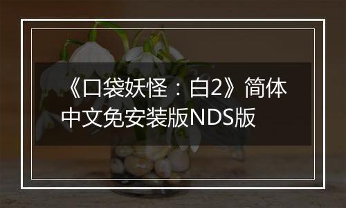 《口袋妖怪:白2》简体中文免安装版NDS版