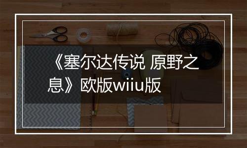 《塞尔达传说 原野之息》欧版wiiu版