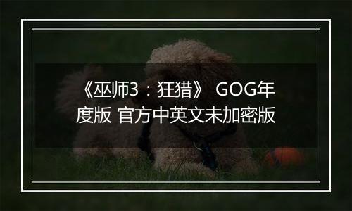 《巫师3：狂猎》 GOG年度版 官方中英文未加密版