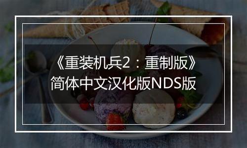 《重装机兵2：重制版》简体中文汉化版NDS版