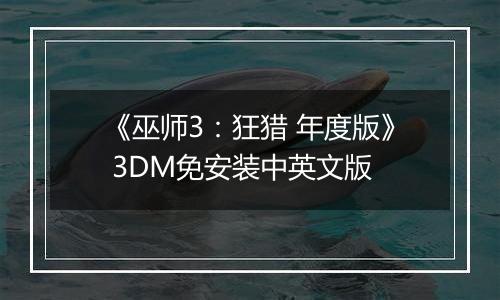 《巫师3：狂猎 年度版》 3DM免安装中英文版最新版