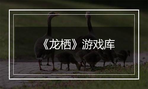 《龙栖》游戏库
