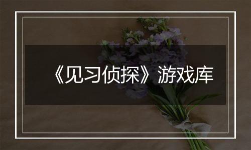 《见习侦探》游戏库