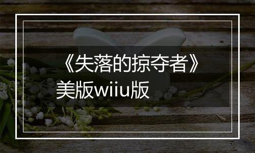 《失落的掠夺者》美版wiiu版
