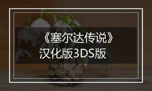 《塞尔达传说》汉化版3DS版