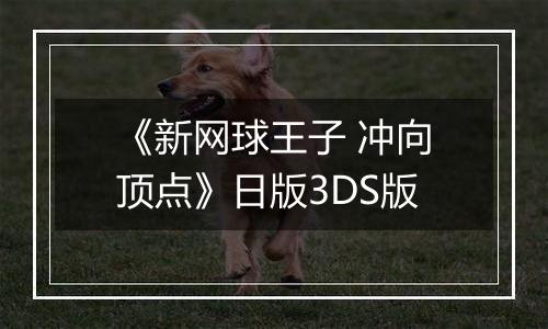 《新网球王子 冲向顶点》日版3DS版