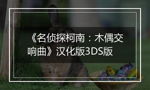 《名侦探柯南：木偶交响曲》汉化版3DS版