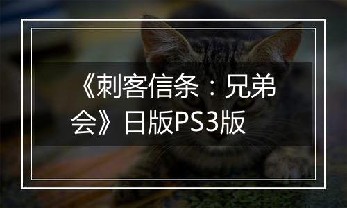 《刺客信条：兄弟会》日版PS3版