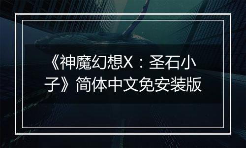 《神魔幻想X:圣石小子》简体中文免安装版