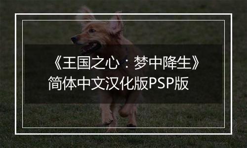 《王国之心:梦中降生》简体中文汉化版PSP版
