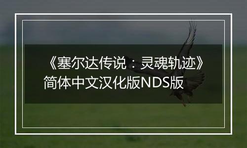 《塞尔达传说：灵魂轨迹》简体中文汉化版NDS版最新版