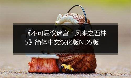《不可思议迷宫：风来之西林5》简体中文汉化版NDS版