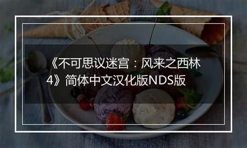 《不可思议迷宫：风来之西林4》简体中文汉化版NDS版