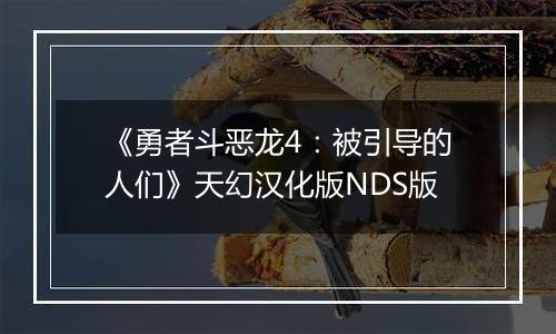 《勇者斗恶龙4：被引导的人们》天幻汉化版NDS版